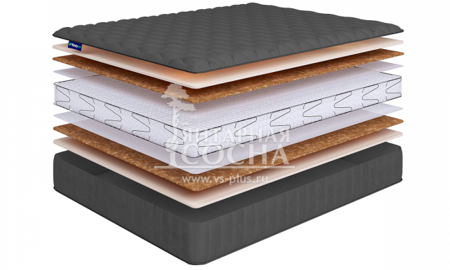 ������ BeautySon - Promo Lux 6 S1200