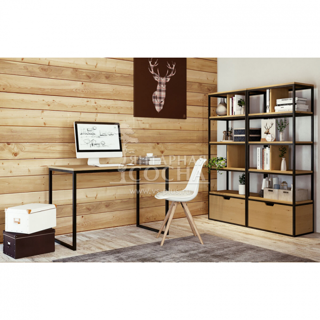 ���� ���������� ���� ����