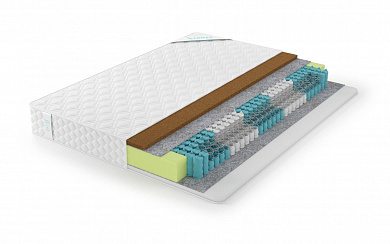  Lonax Hollo Cocos TFK 5 Zone