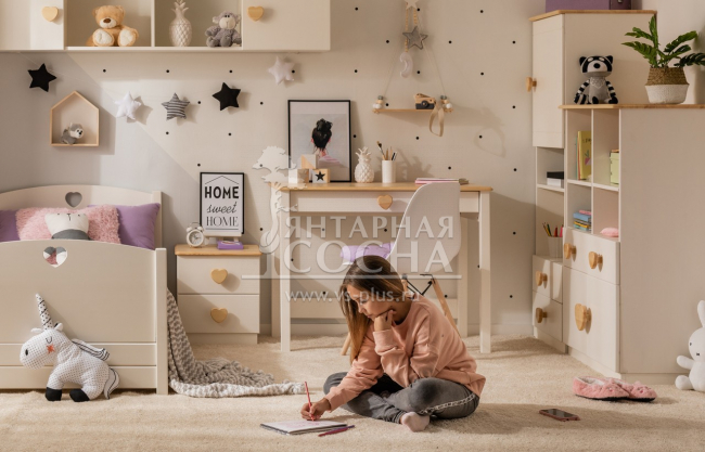 Письменный стол ТК №3 Письменный стол ТК №3