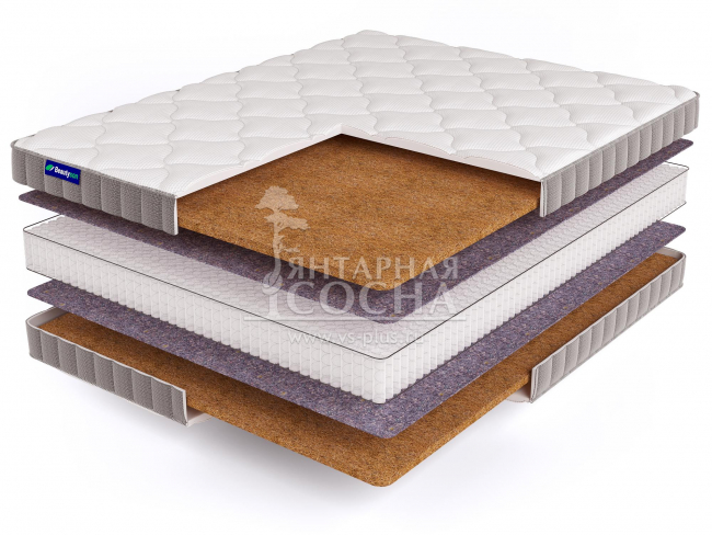 ������ BeautySon - Promo 11 S1200