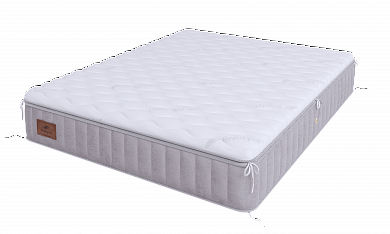 ������ BeautySon - PRIVAT Transformer Prestige S2400