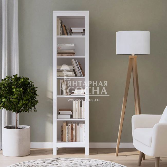 ������� ����� ������ �����