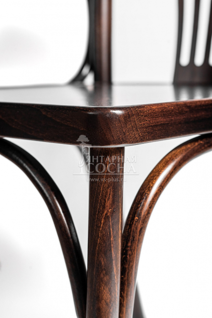 ���������� Venus ������� ������ ����