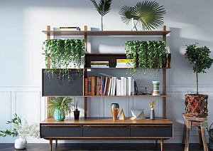 �������� Bruni