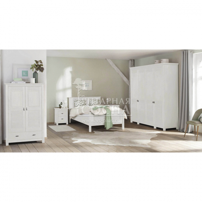 ���� ��� ������ ����� - 40