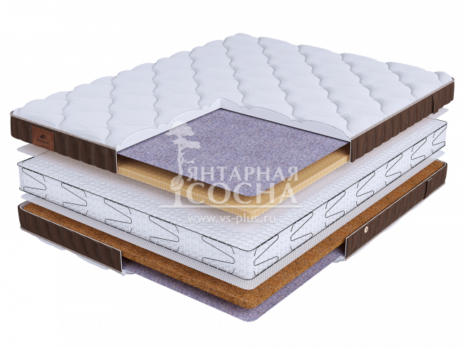 ������ BeautySon - LIFE Chance S1200