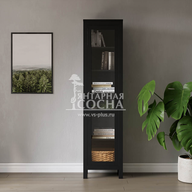 ���� ������� ������ ����� ����� ��/��