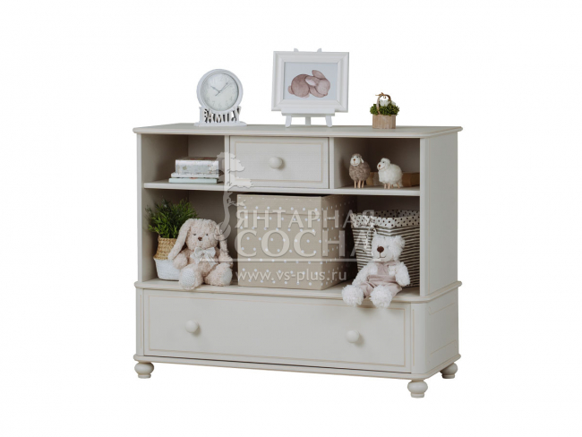 ������� ����� �11